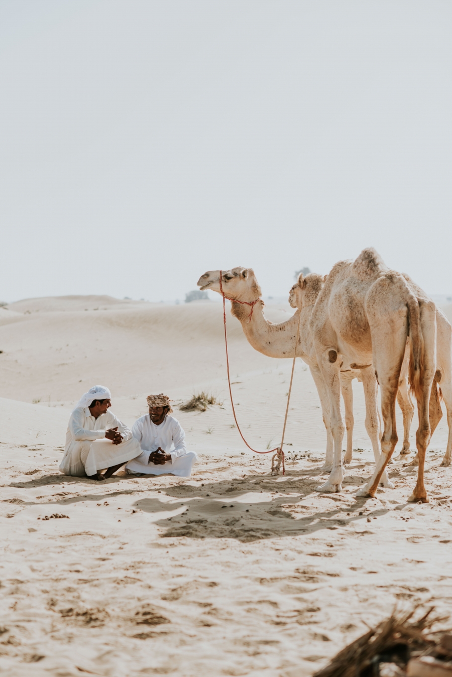 FIH Fotografie » Into the desert shoot