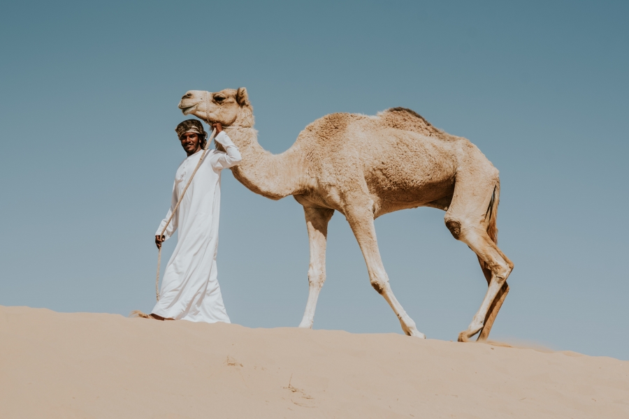 FIH Fotografie » Into the desert shoot