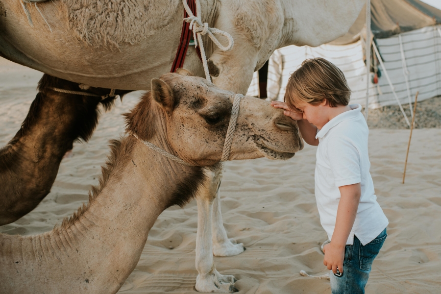 FIH Fotografie » Into the desert shoot