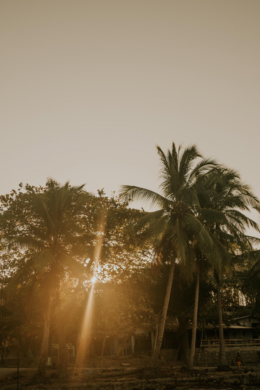 FIH Fotografie » Costa Rica