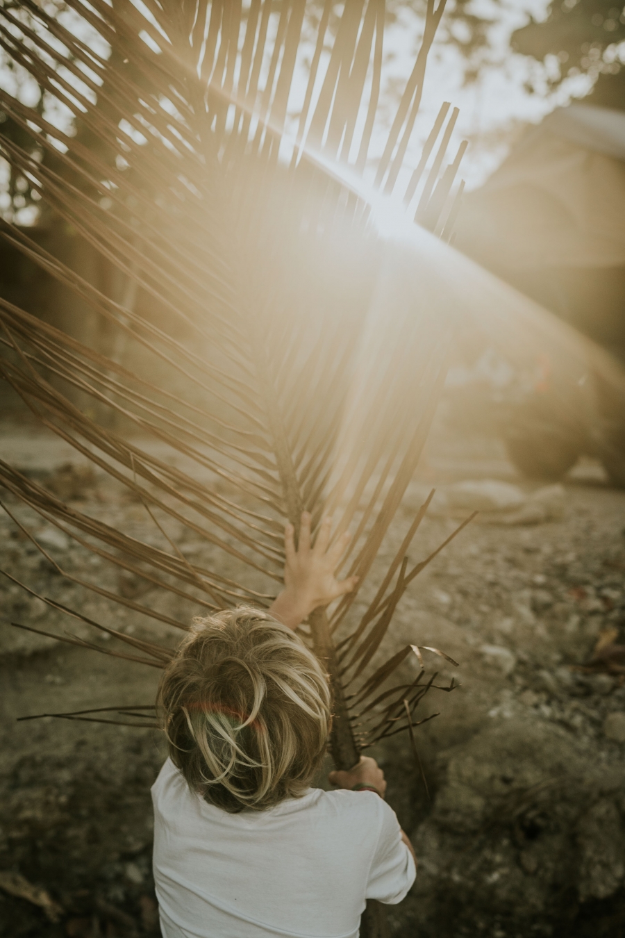 FIH Fotografie » Costa Rica