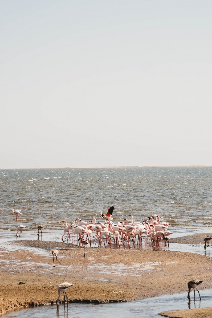 FIH Fotografie » Namibie