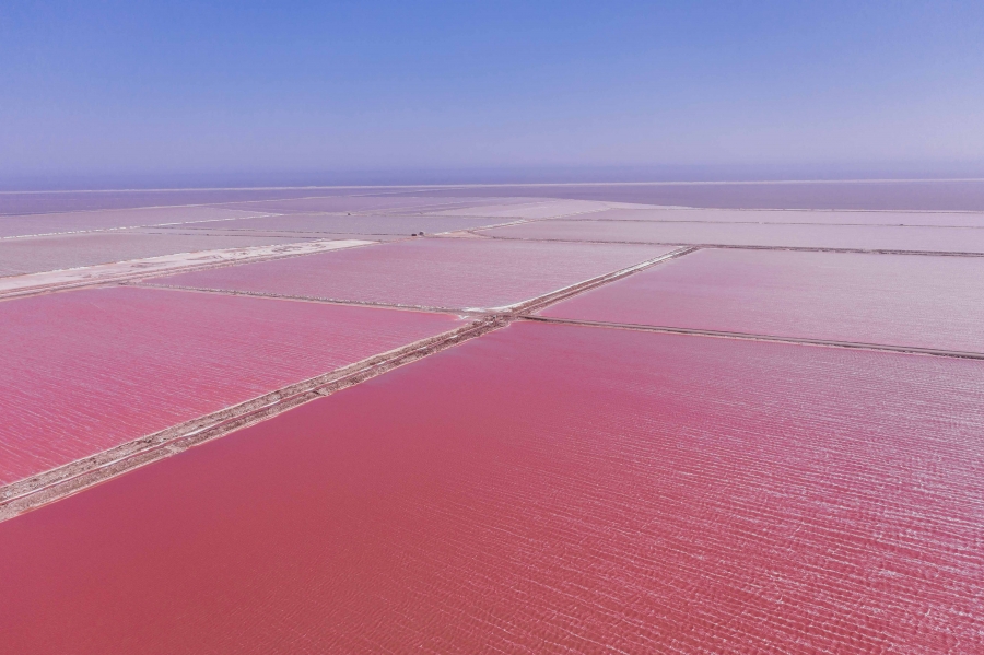 FIH Fotografie » Namibie