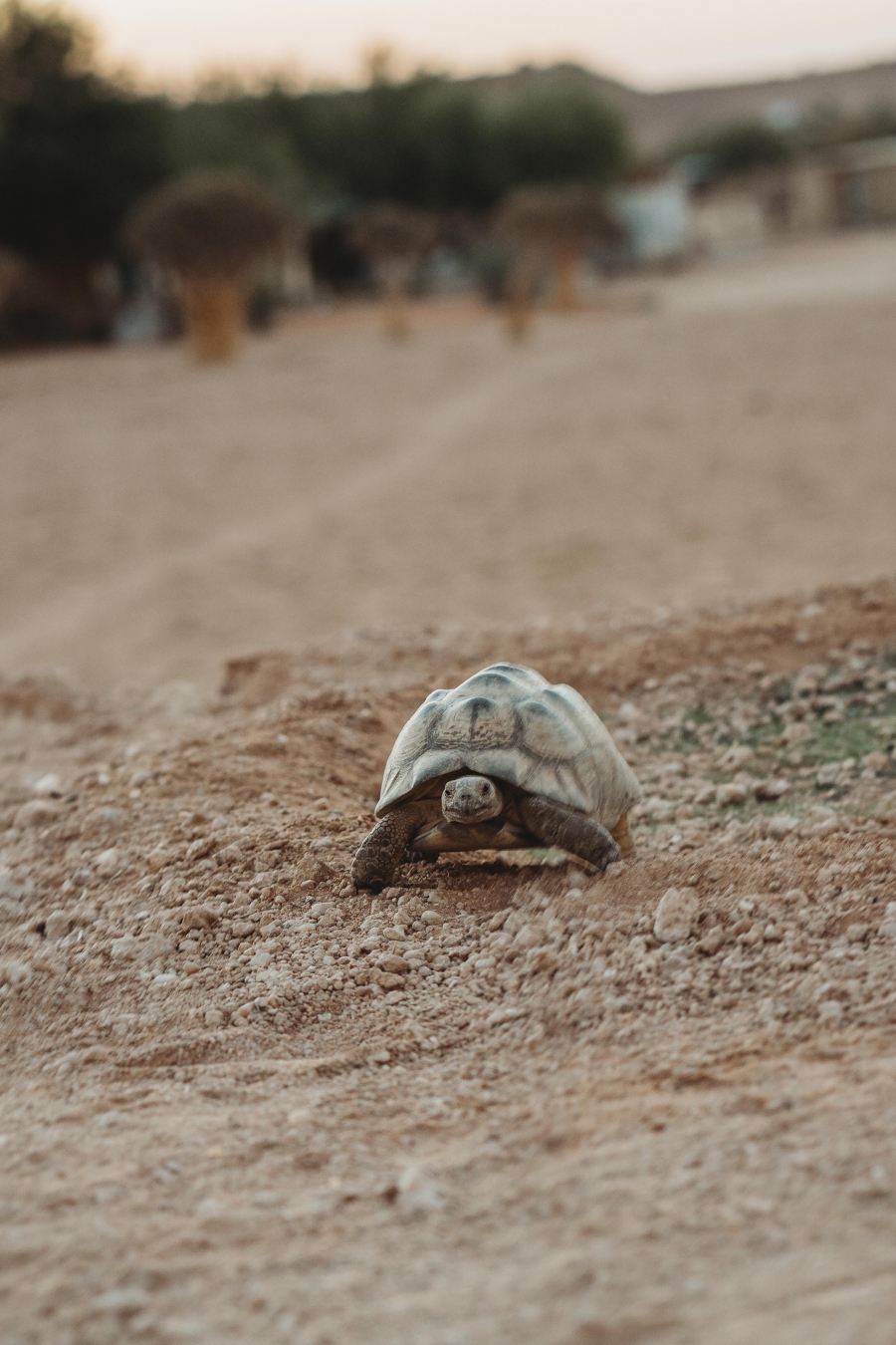 FIH Fotografie » Namibie