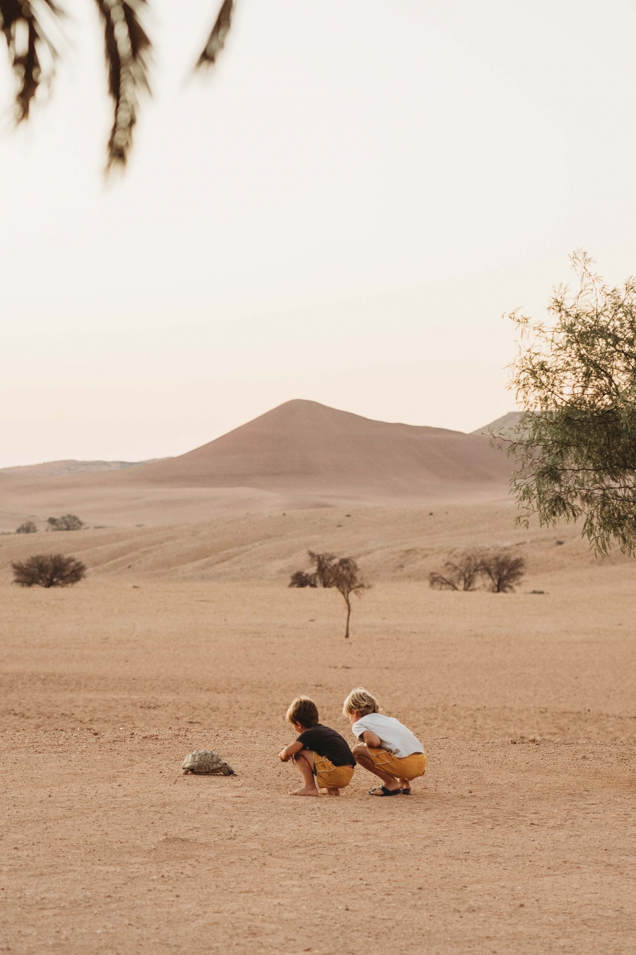 FIH Fotografie » Namibie