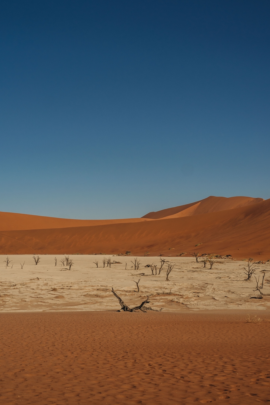 FIH Fotografie » Namibie