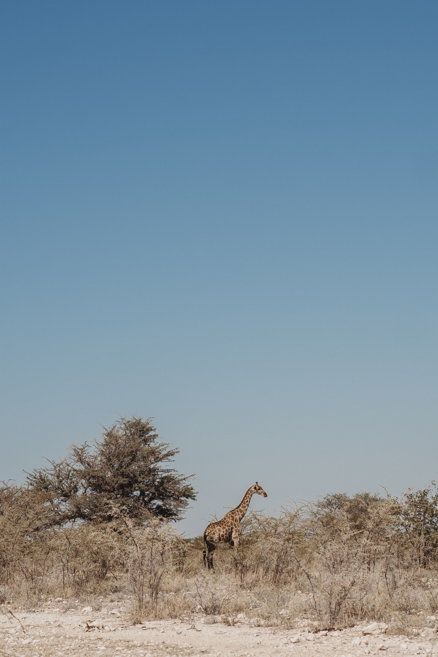 FIH Fotografie » Namibie