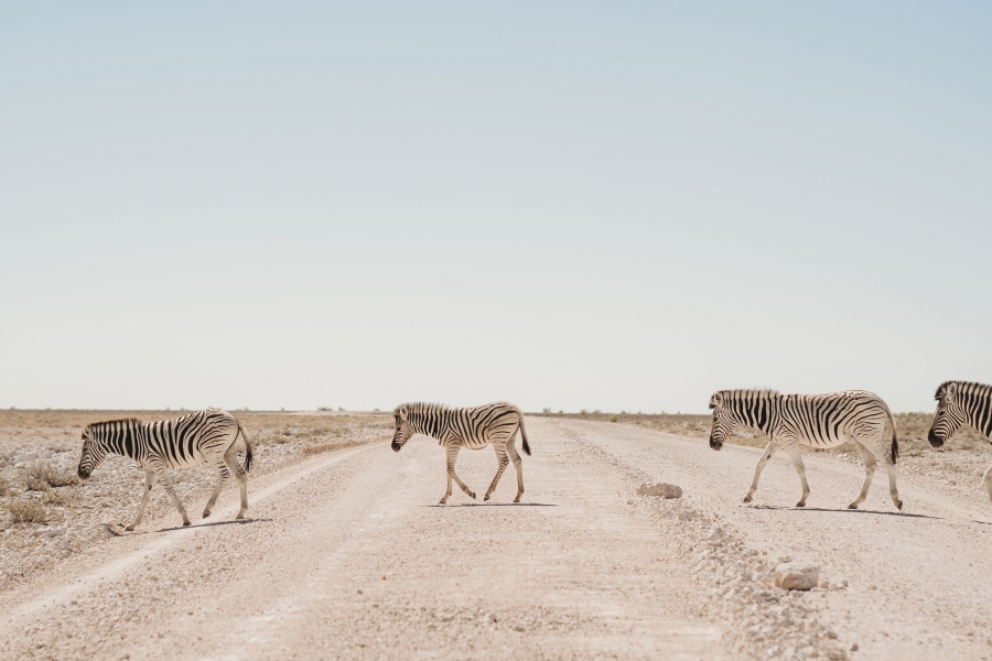 FIH Fotografie » Namibie