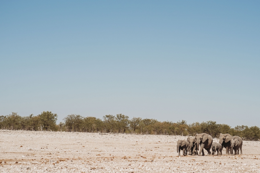 FIH Fotografie » Namibie