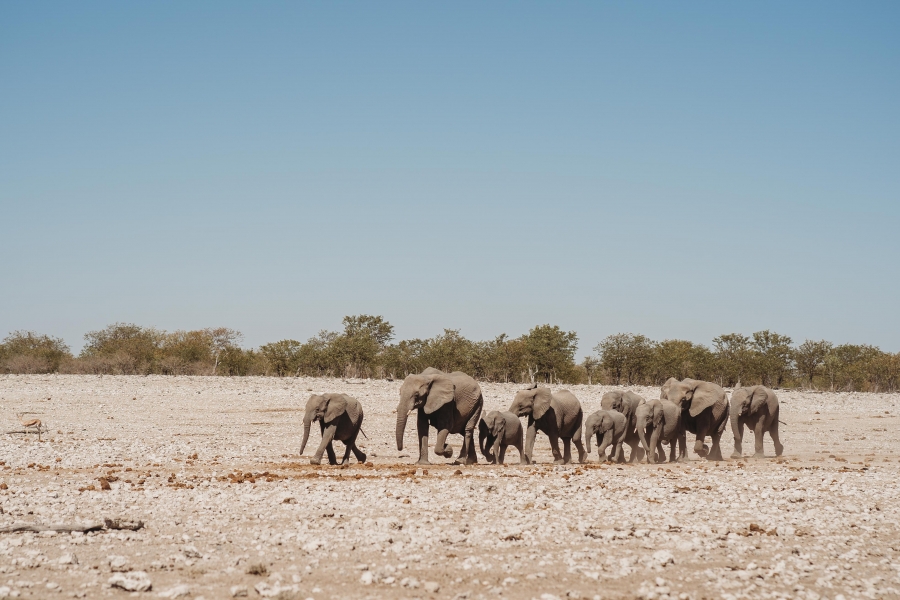 FIH Fotografie » Namibie