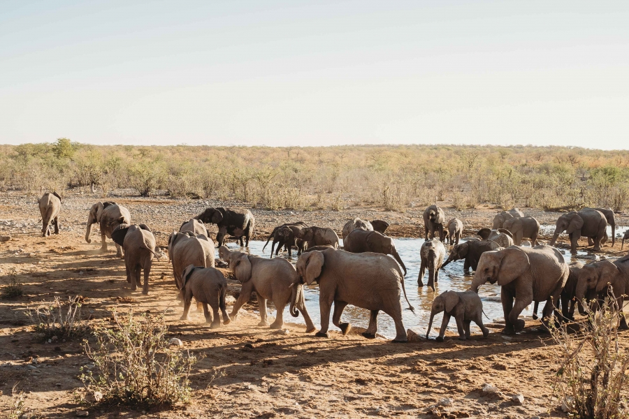 FIH Fotografie » Namibie