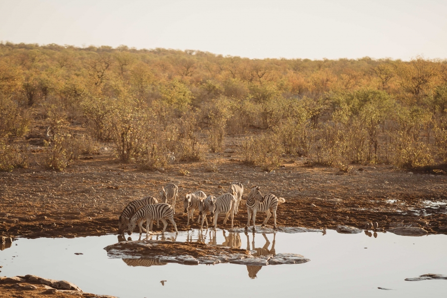 FIH Fotografie » Namibie