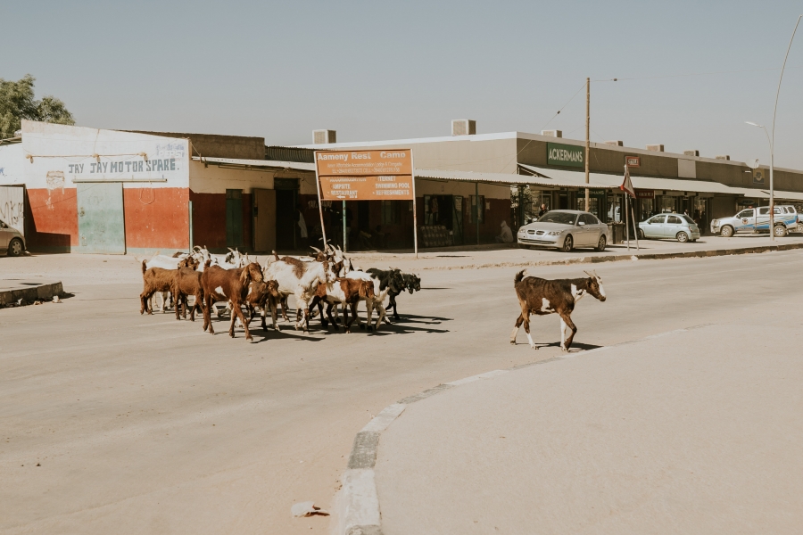 FIH Fotografie » Namibie