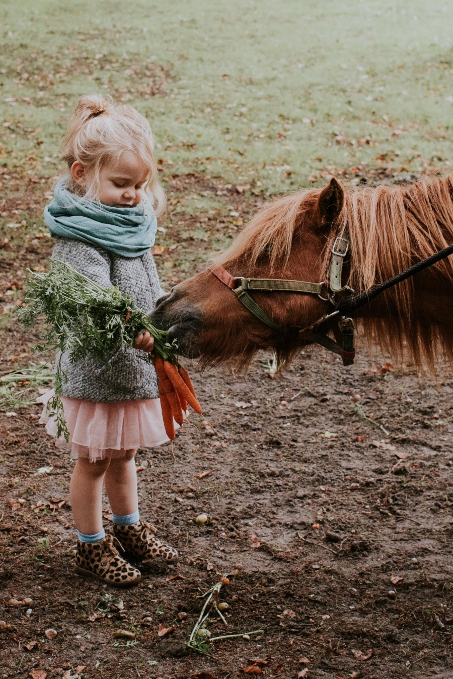 FIH Fotografie » Vieve & Cate