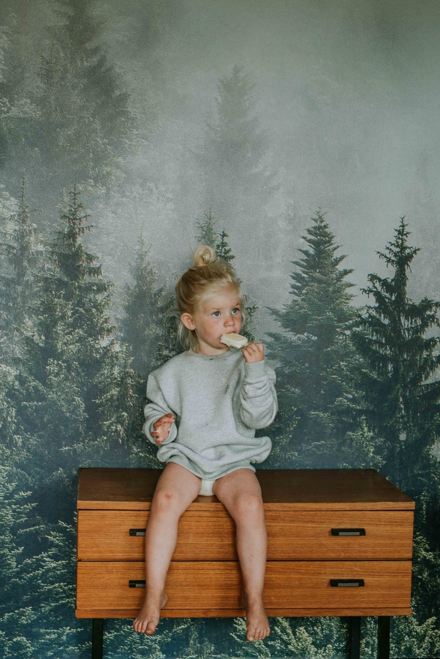 FIH Fotografie » Bellamy into the woods