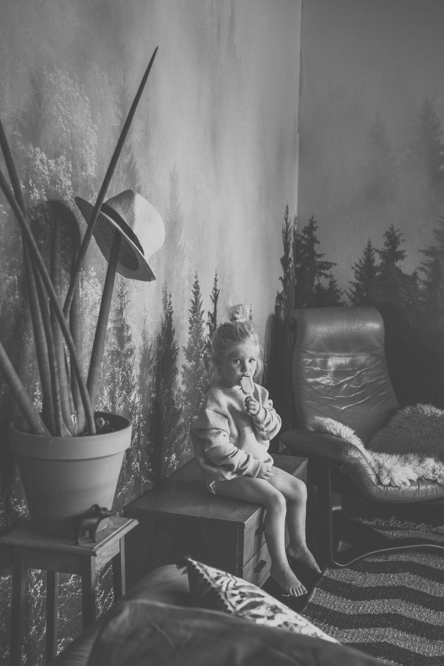 FIH Fotografie » Bellamy into the woods