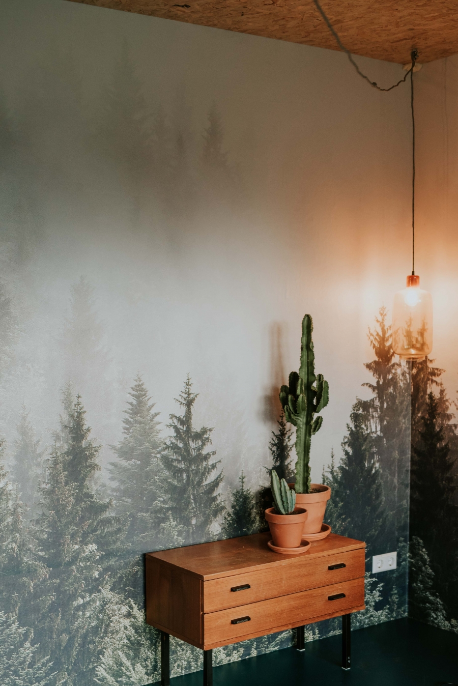 FIH Fotografie » Sproet en sprout brandshoot #2